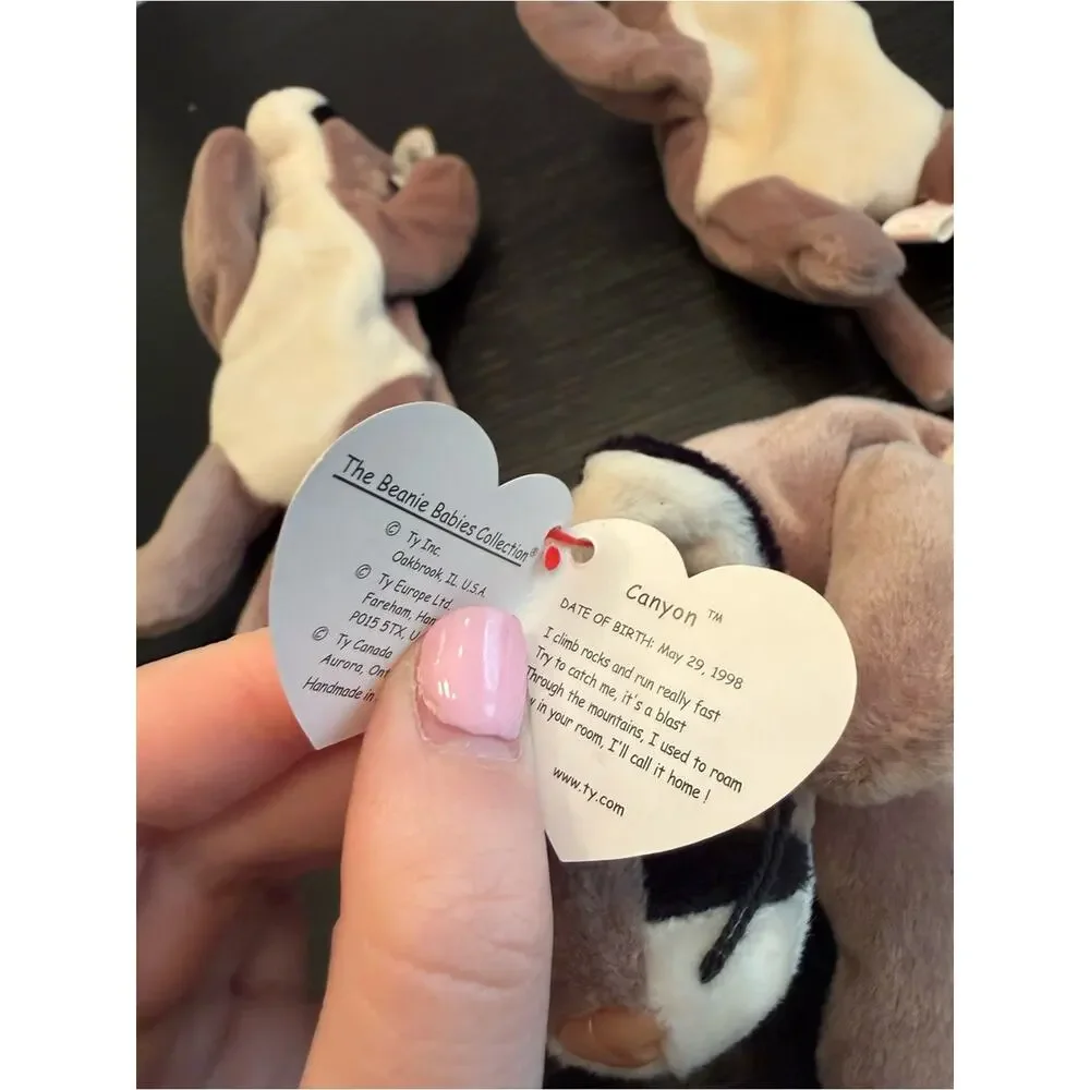 NWT Vintage Ty Beanie Babies Bundle of (3) Canyon Cougar Stuffed Animals